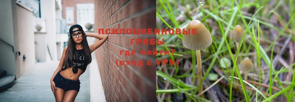 гидра Белоозёрский