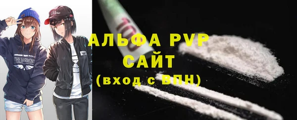 гашик Белокуриха
