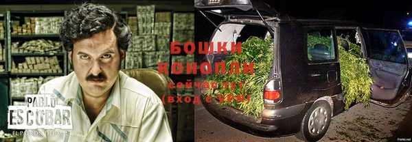 гашик Белокуриха